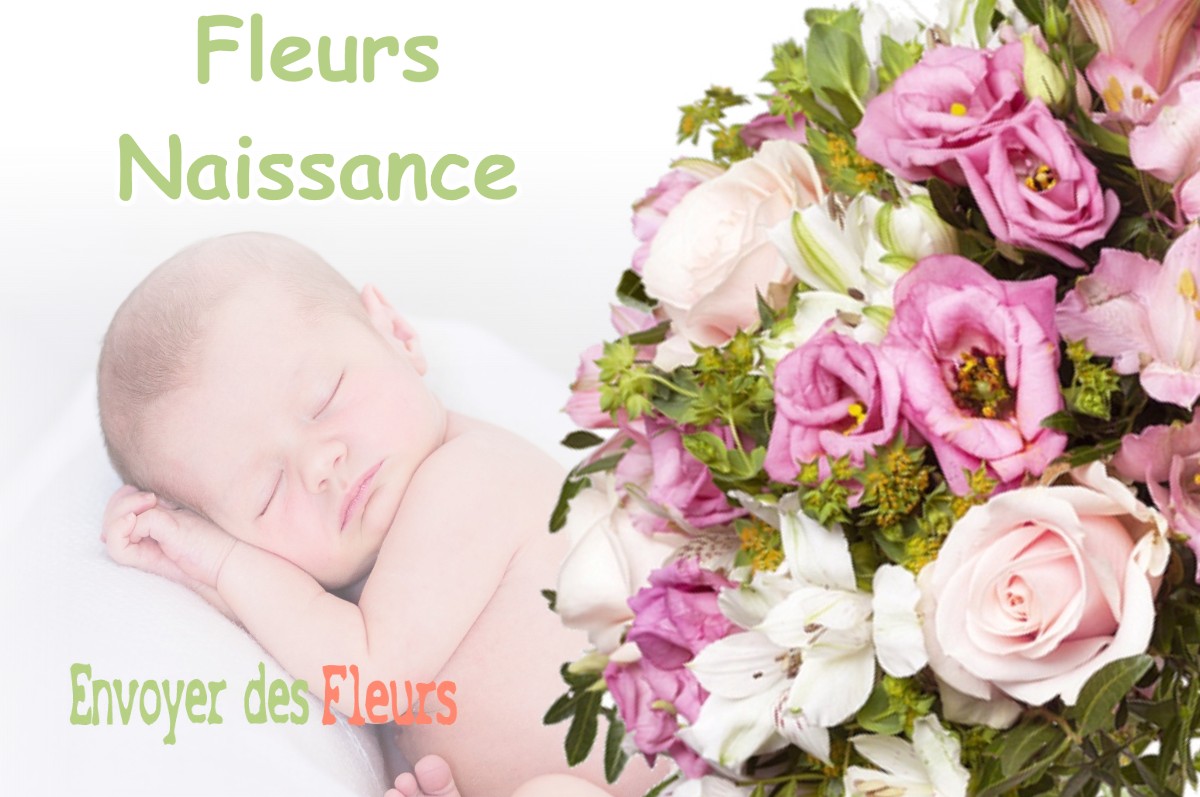 lIVRAISON FLEURS NAISSANCE à MARSOULAS